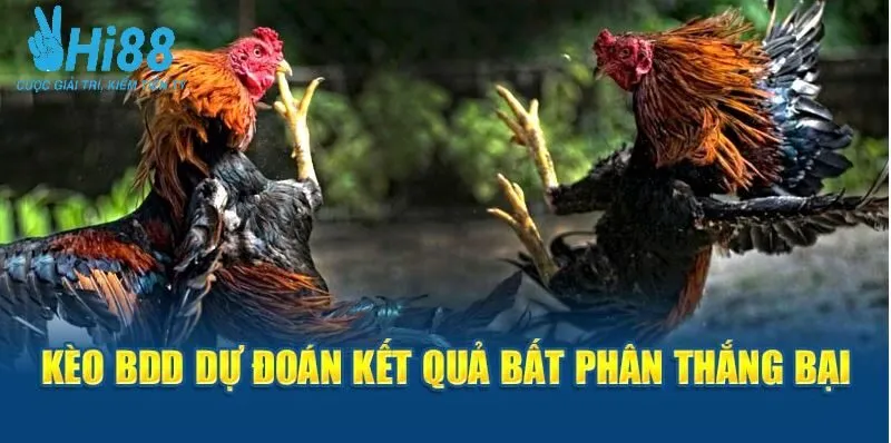 Kèo BDD dự đoán kết quả bất phân thắng bại