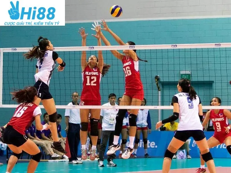 Một số loại cược bóng chuyền tại Hi88