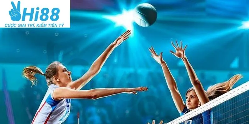 Hướng dẫn tham gia cược bóng chuyền