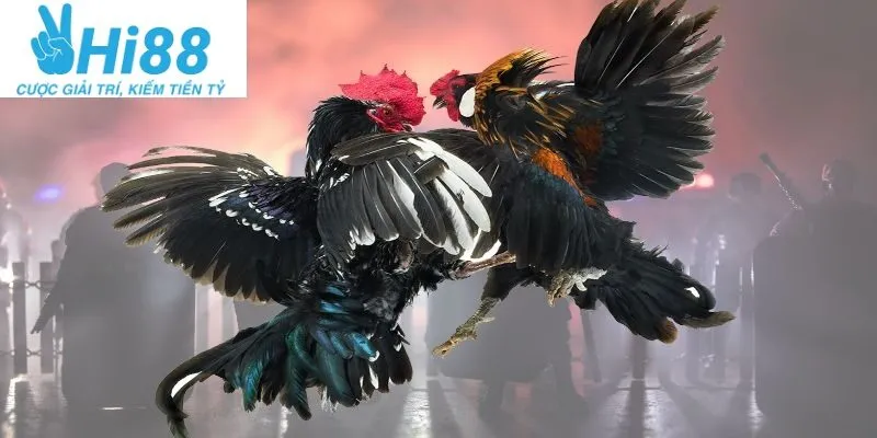 Đá Gà Casino Hi88: Định Nghĩa và Sự Phát Triển