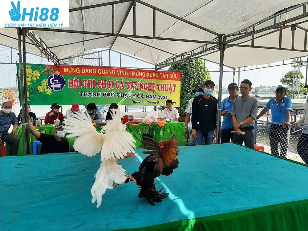 Giá trị kinh tế và văn hóa của Đá Gà Tre Hi88